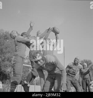 [Untitled photo, possibly related to: Daytona Beach, Florida. Bethune-Cookman College. Bethune-Cookman's champion football team]. Stock Photo