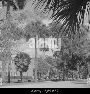 [Untitled photo, possibly related to: Daytona Beach, Florida. A street which runs through the campus of Bethune-Cookman College]. Stock Photo