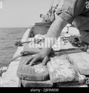On board the fishing boat Alden out of Gloucester, Massachusetts. The tattoed arm of a fisherman. Stock Photo
