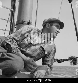 On board the fishing boat Alden out of Gloucester, Massachusetts. Vito Coppola, cook. Stock Photo