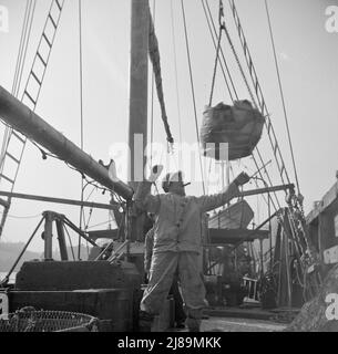 New York, New York. Dock stevedores at the Fulton fish market sending up baskets of fish from the holds of the boats to the docks where it is bought, stored in barrels and packed in ice for delivery to wholesalers. Stock Photo