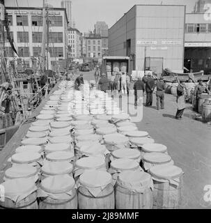 New York, New York. Barrels of fish on the docks at Fulton fish market ready to be shipped to retailers. Stock Photo