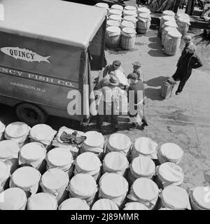 New York, New York. Barrels of fish on the docks at Fulton fish market ready to be shipped to retailers. Stock Photo