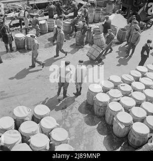 New York, New York. Barrels of fish on the docks at Fulton fish market ready to be shipped to retailers. Stock Photo