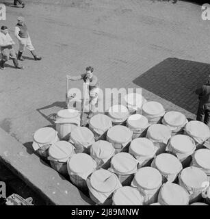 New York, New York. Barrels of fish on the docks at Fulton fish market ready to be shipped to retailers. Stock Photo