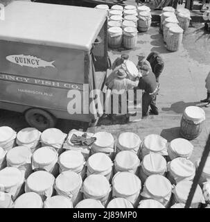 New York, New York. Barrels of fish on the docks at Fulton fish market ready to be shipped to retailers. Stock Photo