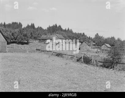 [Untitled, possibly related to: Western Washington subsistence farm, whittled out of the stumps. &quot;Eighty per-cent of the forty-five thousand farms in western Washington are inadequate.&quot; Farm Security Administration (FSA) state director. Washington, Grays Harbor County]. Stock Photo