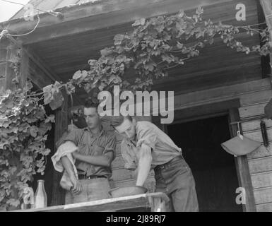 Oregon. Independence, Polk County. Hop farmer's sons, washing for noon meal on back porch. They supervise the migratory workers in the field and tend to the weighing of hops. [Note hop vine growing on porch]. Stock Photo
