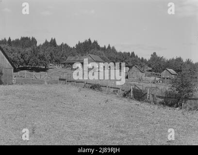 Western Washington subsistence farm, whittled out of the stumps. &quot;Eighty per-cent of the forty-five thousand farms in western Washington are inadequate.&quot; Farm Security Administration (FSA) state director. Washington, Grays Harbor County. Stock Photo