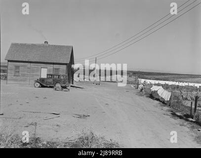 The Schroeder family's new house. Cleared and irrigated fields of their land beyond. Dead Ox Flat, Malheur County, Oregon. Stock Photo