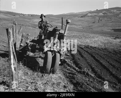 Young farmer plowing while other co-op members work in the sawmill. The tractor does work for five member families. Ola self-help sawmill co-op. Gem County, Idaho. Stock Photo