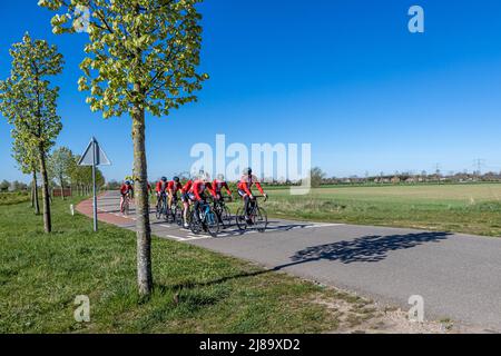 Stevensweert, South Limburg, Netherlands, April 16, 2022. Cyclists pedaling their bikes on a country road, helmet and red and black clothing with a fi Stock Photo