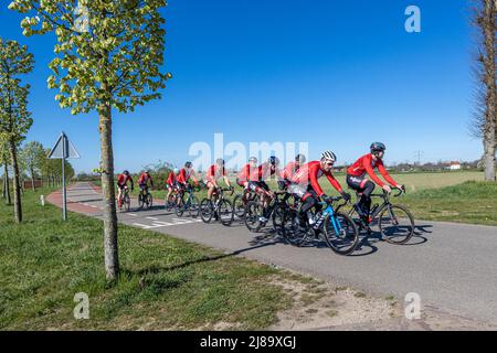 Stevensweert, South Limburg, Netherlands, April 16, 2022.  Group of cyclists on a country road, helmet and red and black clothing with a clear field w Stock Photo