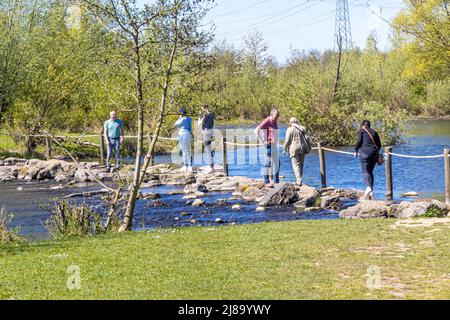 Stevensweert, South Limburg, Netherlands, April 16, 2022. Nature reserve with the stepping stones at Brug Molenplas over the Oude Maas river, people c Stock Photo