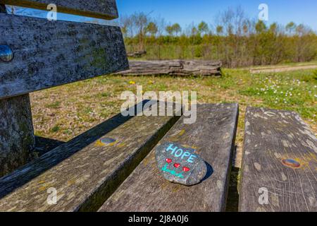 Painted stone on an old wooden bench with the word Hope decorated with small hearts, green grass with small white and green flowers, trail and trees i Stock Photo