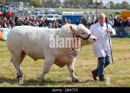 Ayr, UK. 14th May, 2022. After a gap of 2 years because of Covid regulations, Ayr County Show returned to Ayr Racecourse with exhibitions, displays and competitions covering all aspects of agricultural and rural life along with sporting challenges in 'Tug o' War' for both men's and women's teams. The event, thought to be one of the biggest of its kind in Scotland, attracted 1000's of spectators who enjoyed the warm and sunny weather. Credit: Findlay/Alamy Live News Stock Photo