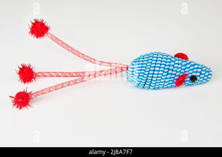 Cat toy mouse for fun on the white background Stock Photo