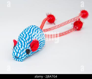 Cat toy mouse for fun on the white background Stock Photo
