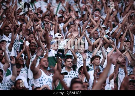 Sao Paulo, Brazil. 14th May, 2022. SP - Sao Paulo - 05/14/2022 - BRAZILIAN A 2022, PALMEIRAS X BRAGANTINO - Supporters during a match between Palmeiras and Bragantino at the Arena Allianz Parque stadium for the Brazilian championship A 2022. Photo: Ettore Chiereguini/AGIF/Sipa USA Credit: Sipa USA/Alamy Live News Stock Photo