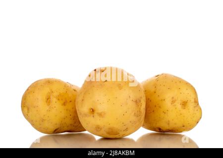 Three raw organic potatoes, close-up, isolated on a white background. Stock Photo