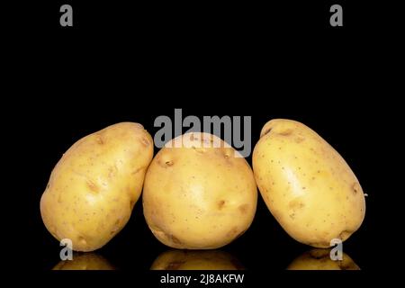 Three raw organic potatoes, close-up, isolated on a black background. Stock Photo