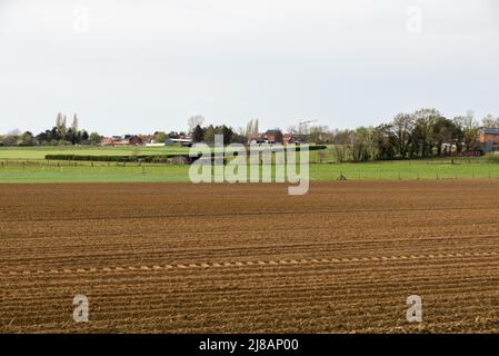 View over the farmland and houses of Scherpenheuvel, Flemish Brabant Region, Belgium Stock Photo