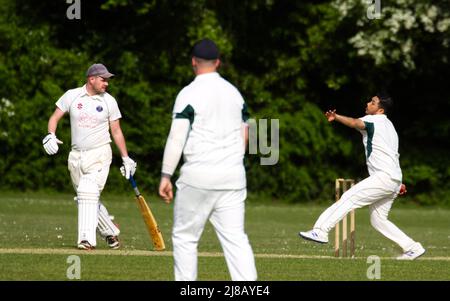 Village cricket in Hampshire, England