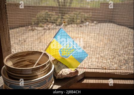 Ukrainian Flag in flower pot on patio Stock Photo