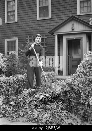 Man raking leaves in front yard of his house, suburb of New York City, New York, USA, Arthur Rothstein, U.S. Office of War Information/U.S. Farm Security Administration, December 1941 Stock Photo