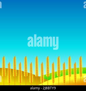 Wheat field at harvest time. Yellow fields and ears of wheat. Stock Vector