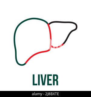 Human liver icon. Medical and health icon on white background. Editable vector stroke. Stock Vector