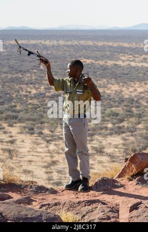 A park ranger with a radio antenna searches for leopards fitted with radio transmitter collars, Okonjima Nature Reserve (AfriCat Foundation), Namibia Stock Photo