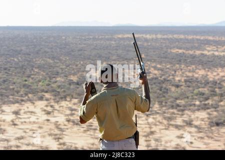 A park ranger with a radio antenna searches for leopards fitted with radio transmitter collars, Okonjima Nature Reserve (AfriCat Foundation), Namibia Stock Photo