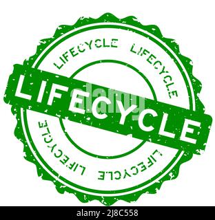 Grunge green lifecycle word round rubber seal stamp on white background Stock Vector