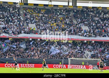 File:FC Lugano fans before the 2023 Swiss Cup Final against BSC Young Boys  (2023).jpg - Wikimedia Commons