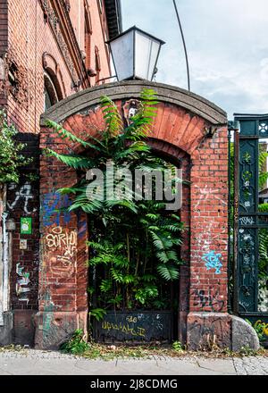 The Aktienbrauerei Friedrichshöhe historic beer brewery building In Landsberger Allee 54, Friederichshain-Berlin. Dilapidated Overgrown entrance.           Georg Patzenhofer opened a storage cellar & brewery on the site in the 1850s. The brewery existed here for more than a 100ayears. It was renamed & merged but the VEB Schultheiss brewery produced beer here until 1991. Some of the buildings were demolished in 2006/2007 and replaced by residential buildings. The remaining buildings are listed monuments. Most of the buildings were designed by the architects Max Alterthum & Salo Zadek. The entir Stock Photo
