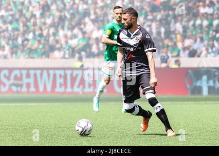 FC Lugano celebrate the victory after the Swiss Cup final match between FC  Lugano and FC St.Gallen at Wankdorf Stadium in Bern, Switzerland Cristiano  Mazzi / SPP Stock Photo - Alamy