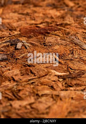 Compressed bale of ground coconut shell fibers ,coir, surface background Stock Photo