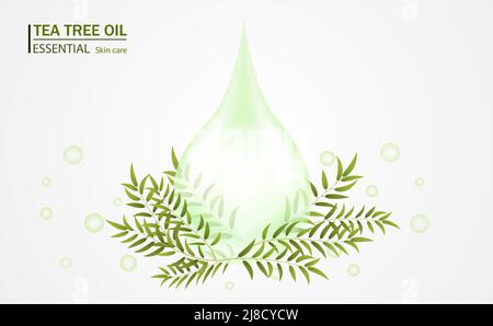 Tea tree oil drop of essential oil. Vector illustration. Stock Vector