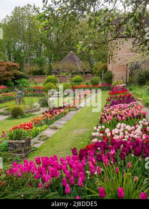 Chenies Manor Garden.Portrait view of Sunken garden with tulip varieties in pink, purple, red; orange;  the Tudor well house and pavilion brickwork.. Stock Photo