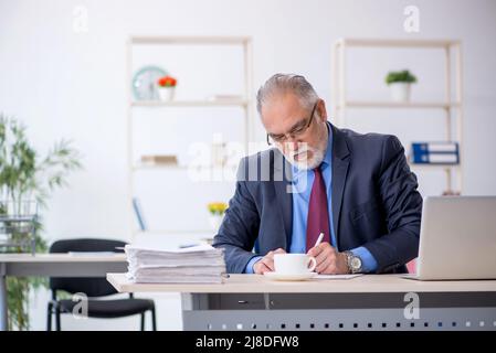 Old businessman employee working at workplace Stock Photo