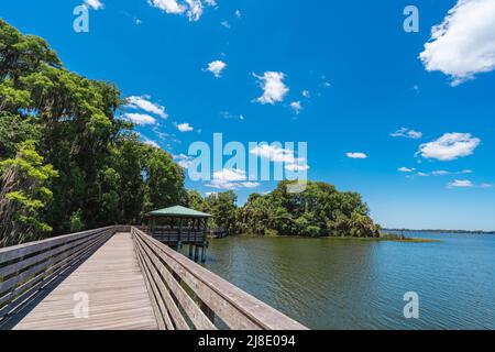 Nature preserve with a boardwalk on Lake Dora in Mount Dora, Florida. Palm Island Park. Stock Photo