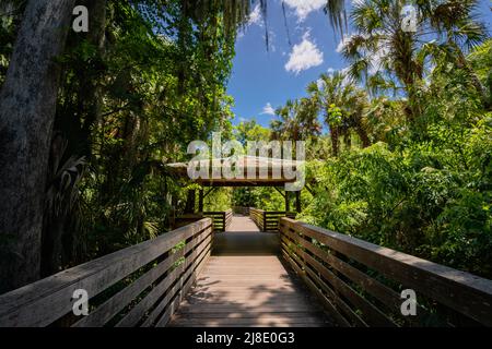 Nature preserve with a boardwalk on Lake Dora in Mount Dora, Florida. Palm Island Park. Stock Photo