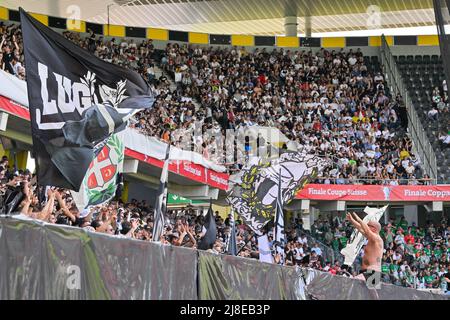 File:FC Lugano fans before the 2023 Swiss Cup Final against BSC Young Boys  (2023).jpg - Wikimedia Commons
