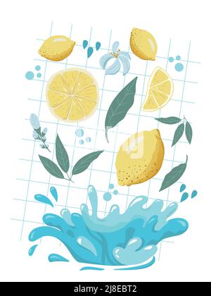 Fresh Lemonade Cooking ingredients, Lemons, Green Leaves of Mint and Water Splashes. Summer Style poster. Stock Vector