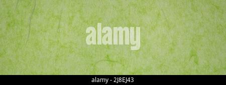 background of light green backlit, handmade, mulberry paper, panoramic web banner Stock Photo