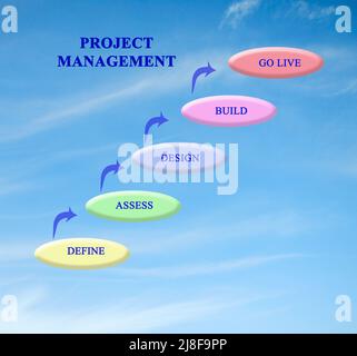 Graphic Organizer for Project Management