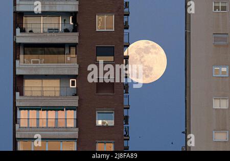 Malaga, Spain. 15th May, 2022. The full moon, known as the "blood red moon" is seen rising behind the buildings before a total lunar eclipse. On the night of 16 May, a total lunar eclipse will appear in the night skies and will be visible in Europe. During the total lunar eclipse, the light of the moon reflects a red and orange light. Credit: SOPA Images Limited/Ģ����ý Live News Stock Photo