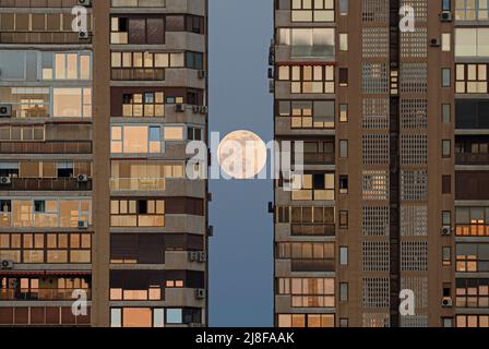 Malaga, Spain. 15th May, 2022. The full moon, known as the "blood red moon" is seen rising behind the buildings before a total lunar eclipse. On the night of 16 May, a total lunar eclipse will appear in the night skies and will be visible in Europe. During the total lunar eclipse, the light of the moon reflects a red and orange light. (Photo by Jesus Merida/SOPA Images/Sipa USA) Credit: Sipa USA/Ģ����ý Live News Stock Photo
