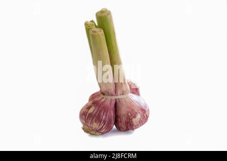 bunch of fresh garlic isolated on white background Stock Photo